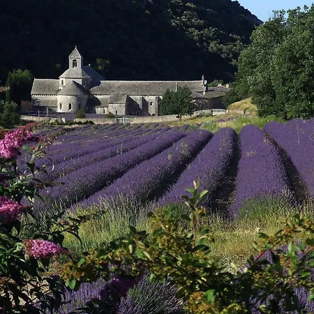 La Calvinette *